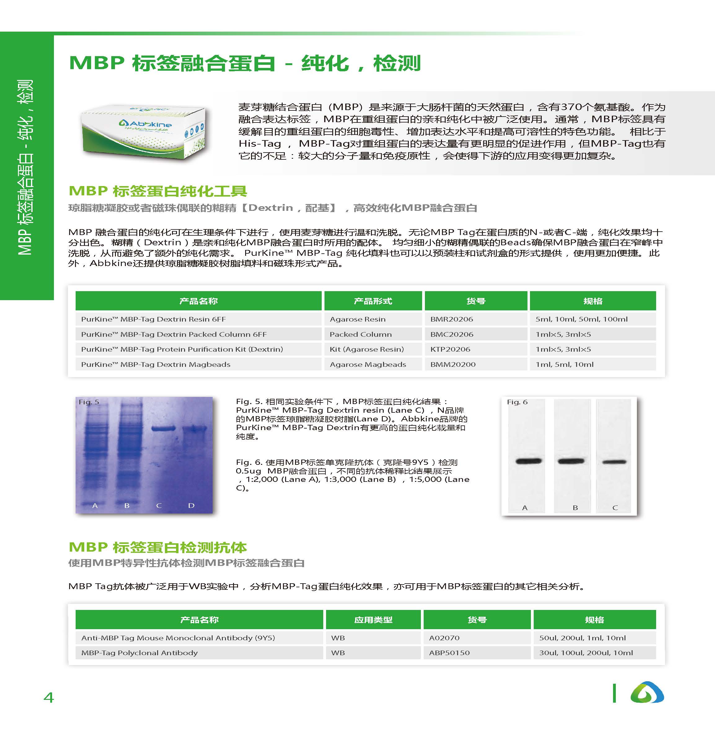 蛋白质&抗体纯化和检测工具