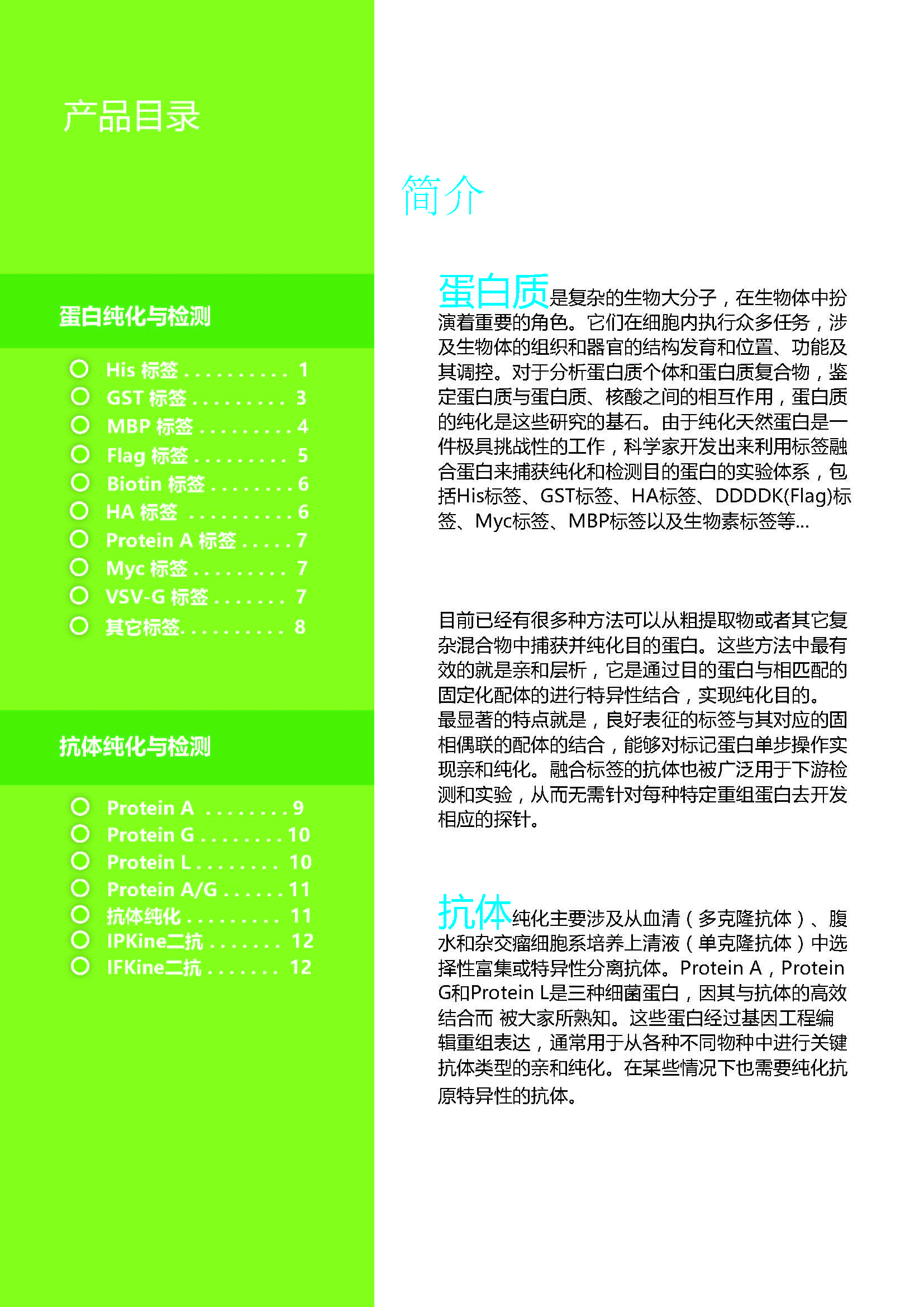 蛋白质&抗体纯化和检测工具