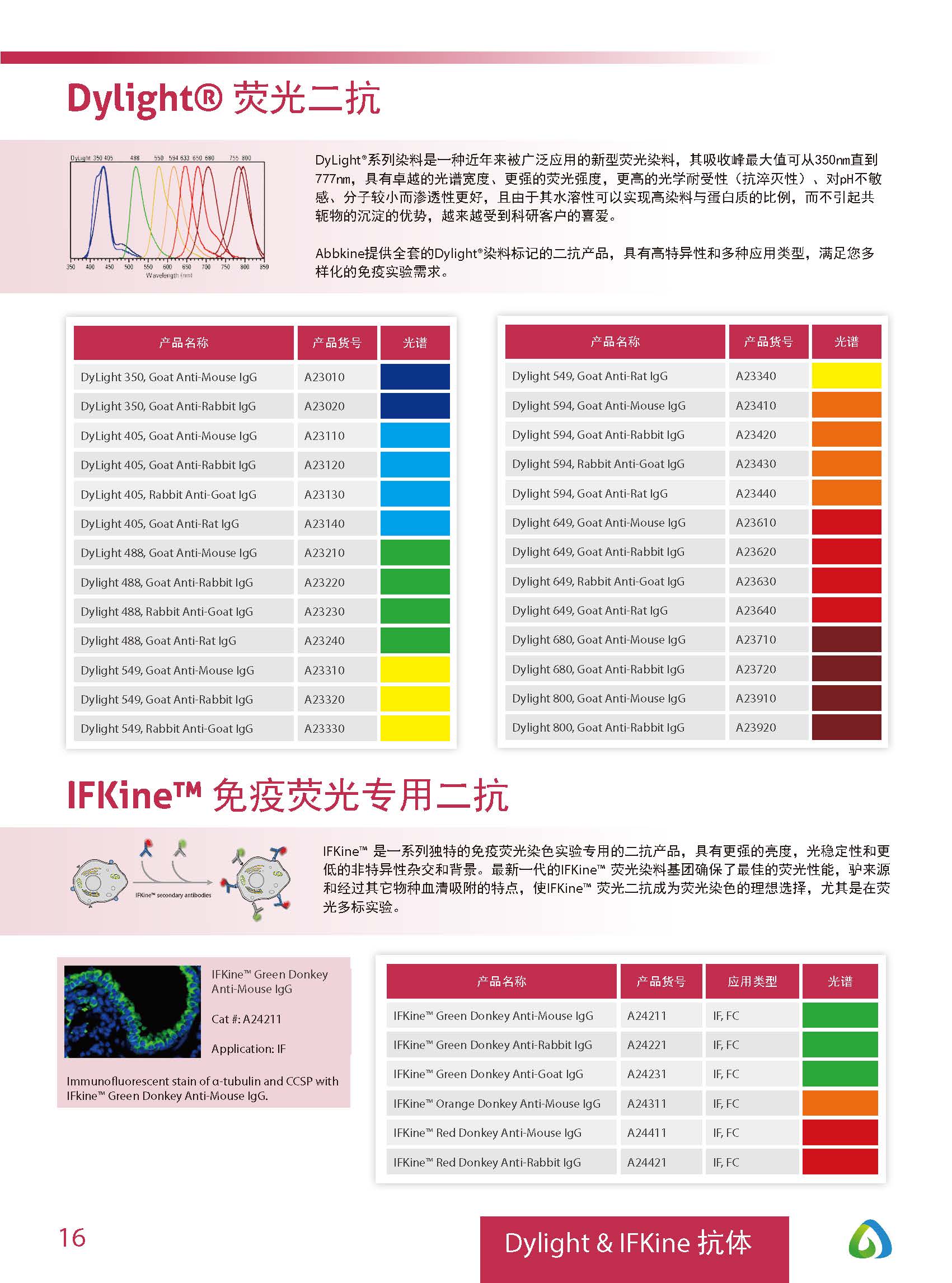 Abbkine“皇冠”抗体产品应用手册