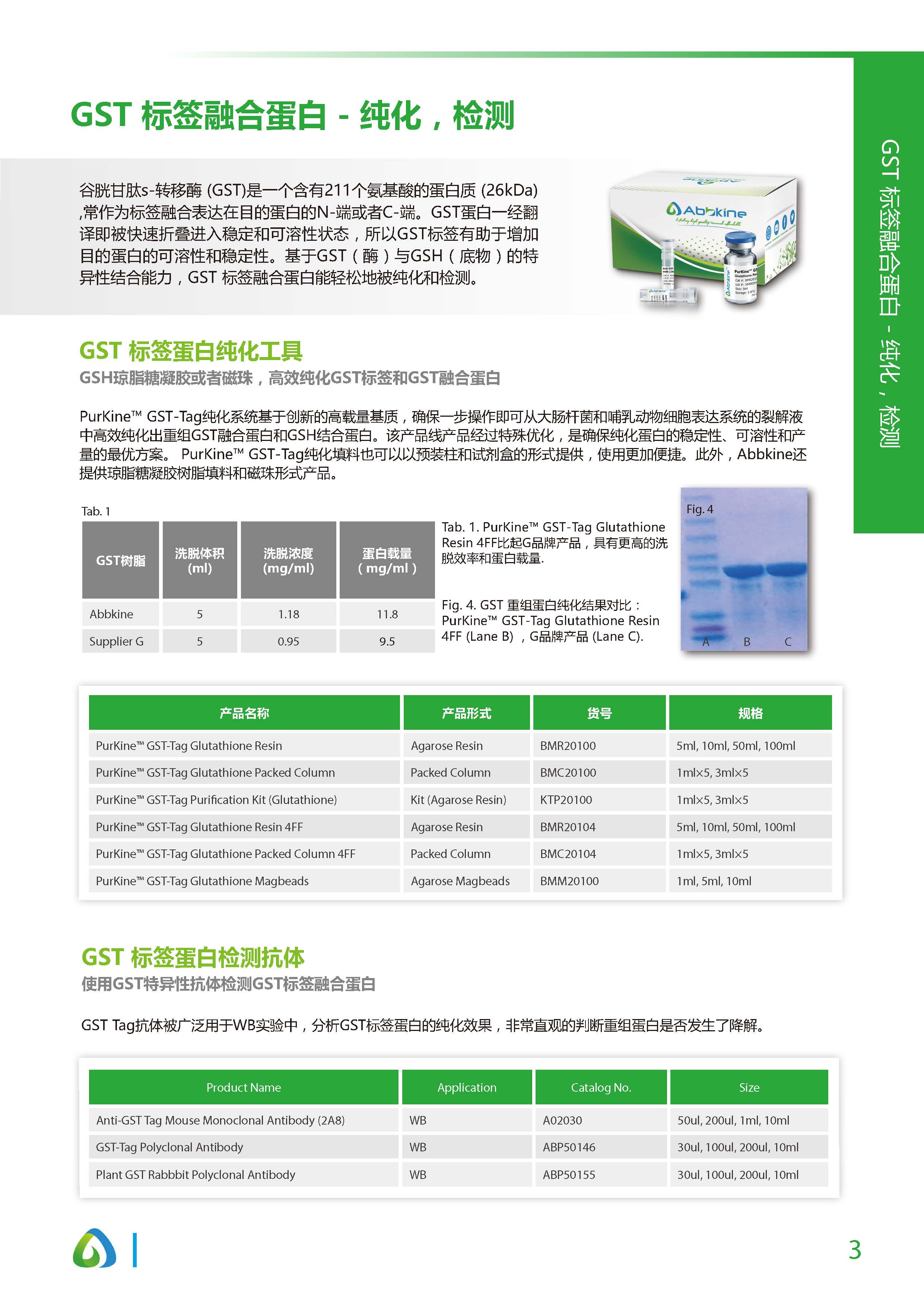 蛋白质&抗体纯化和检测工具