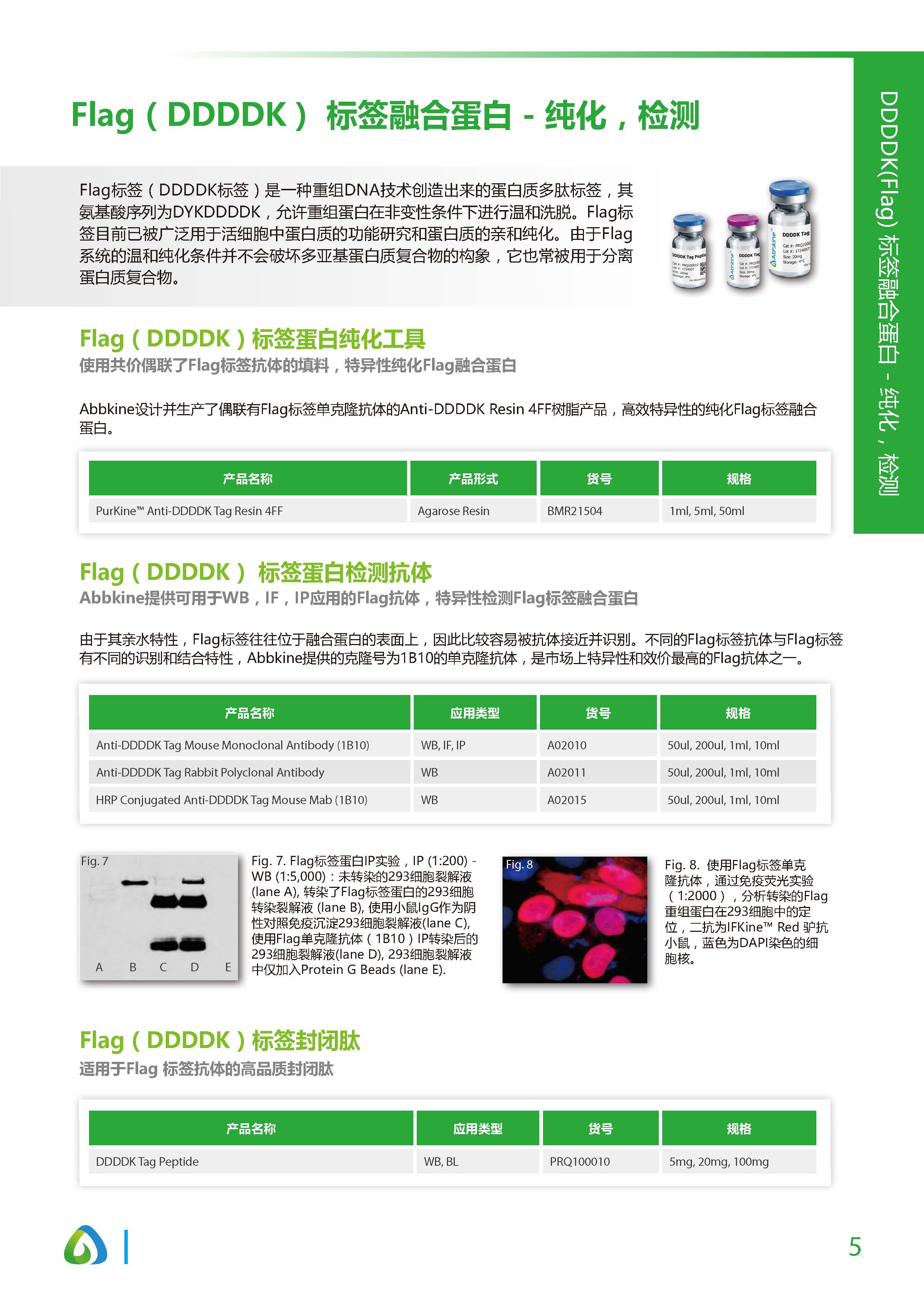 蛋白质&抗体纯化和检测工具