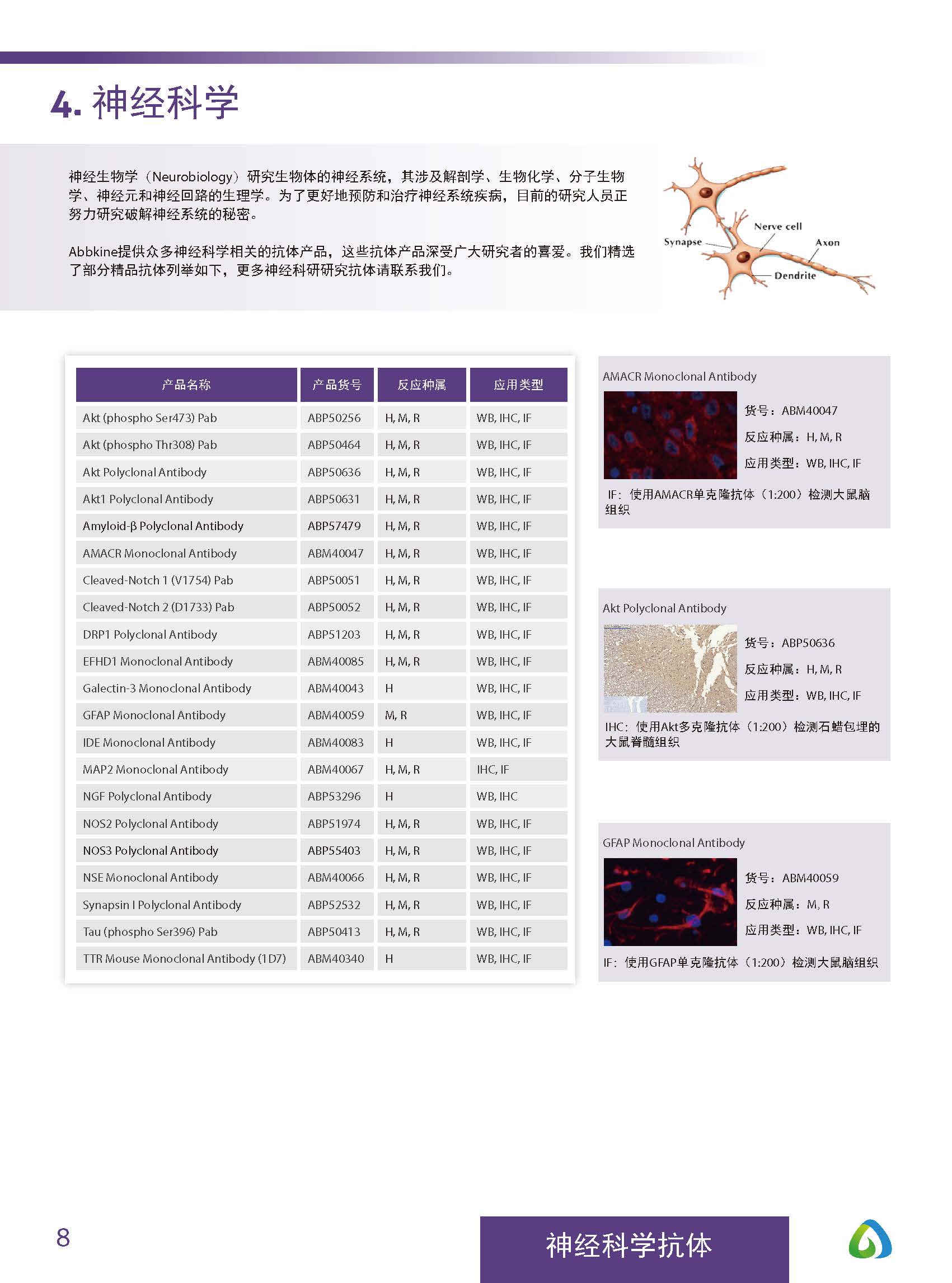 Abbkine“皇冠”抗体产品应用手册
