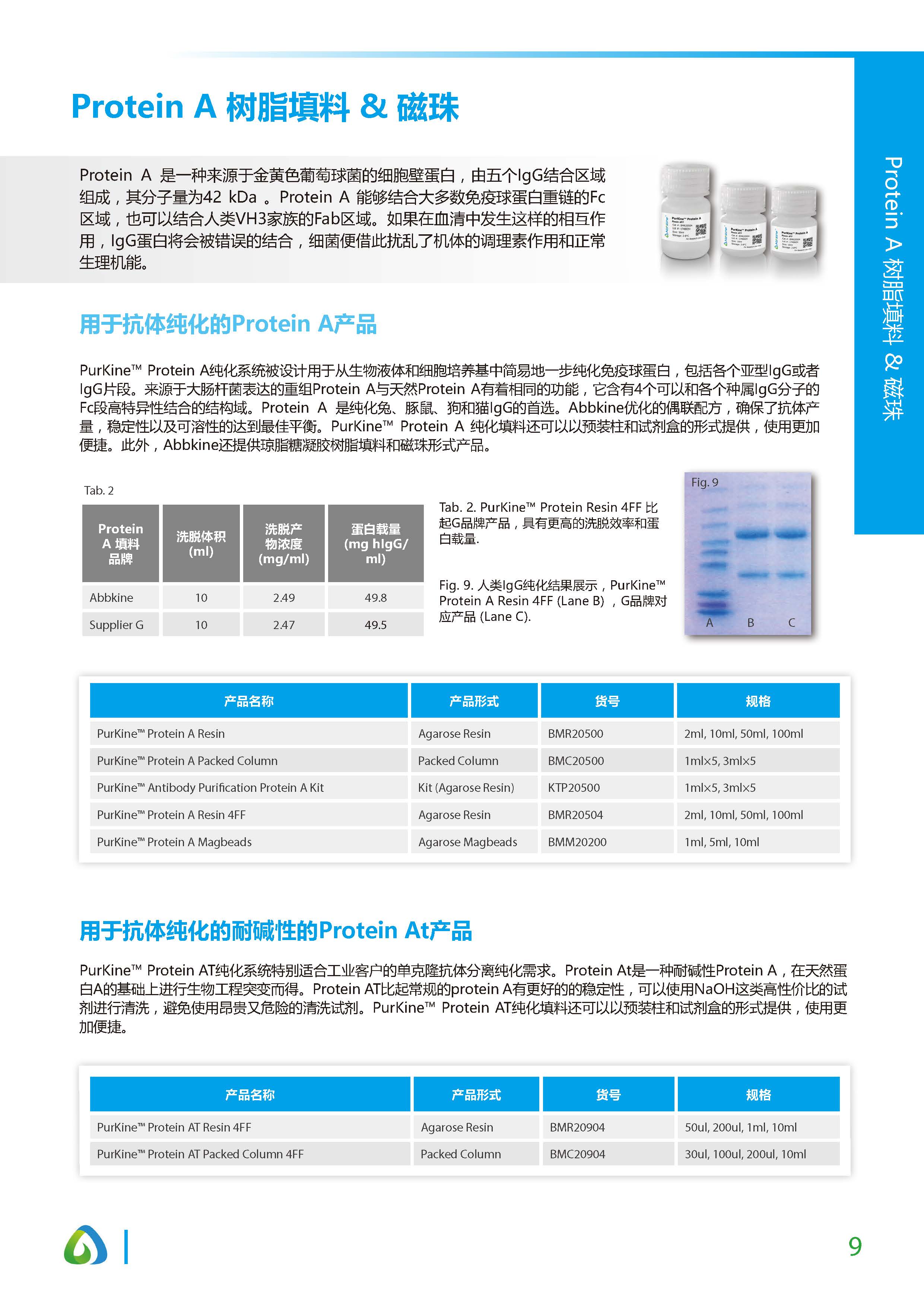 蛋白质&抗体纯化和检测工具