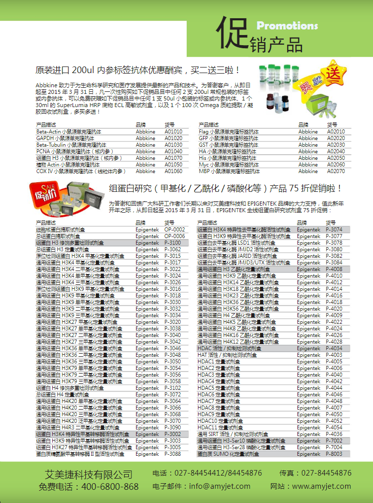 2015-q1-promotion-flyer3.png