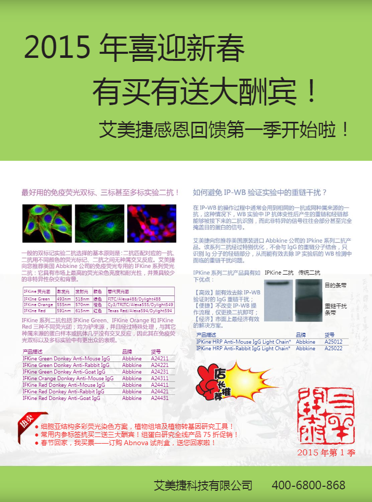 2015-q1-promotion-flyer1.png