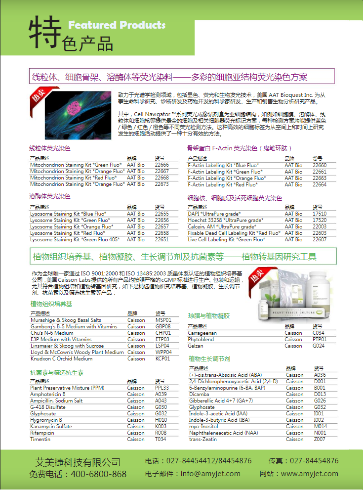 2015-q1-promotion-flyer2.png