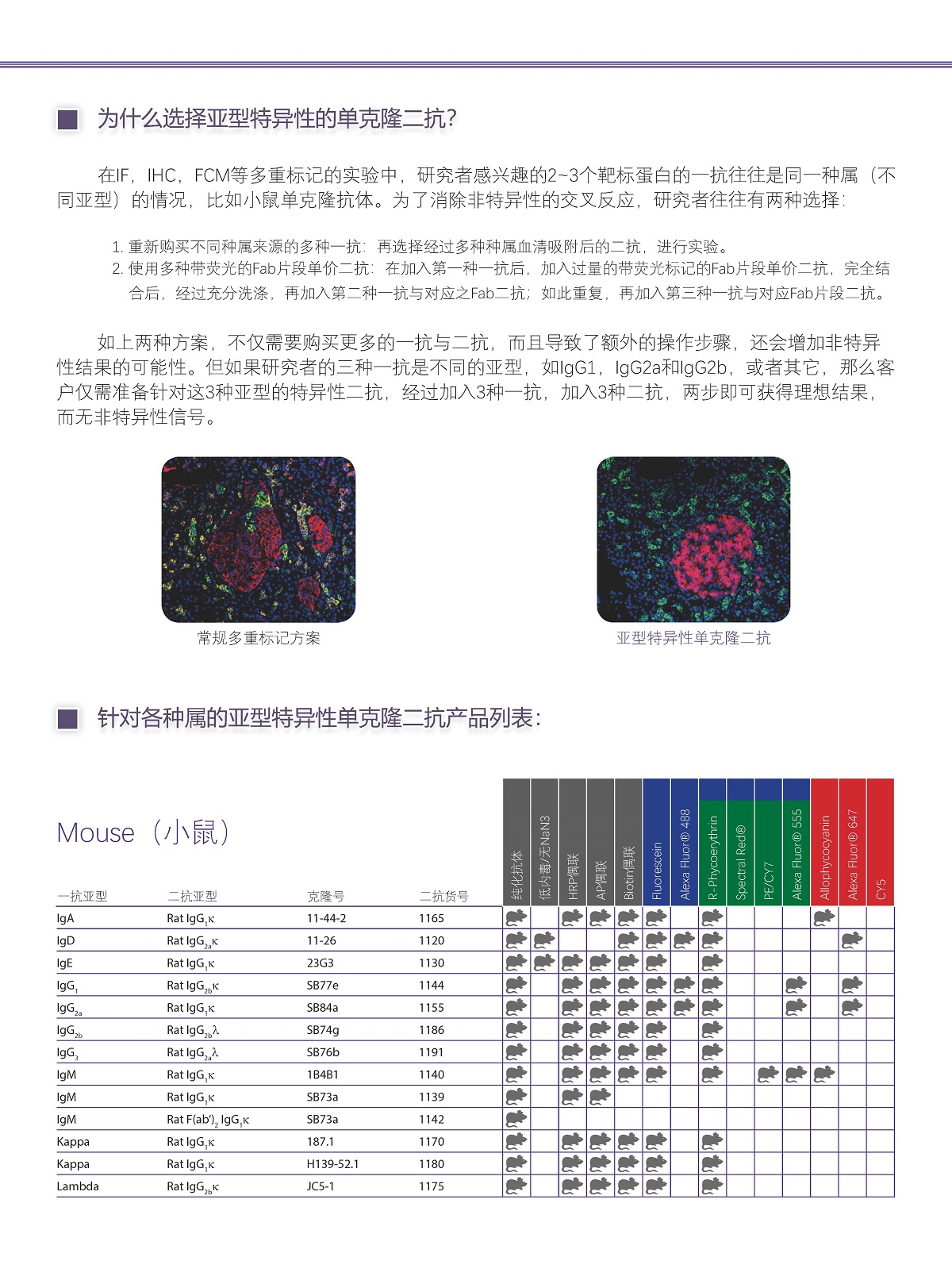 SouthernBiotech兽-禽类-细胞表面蛋白抗体单页