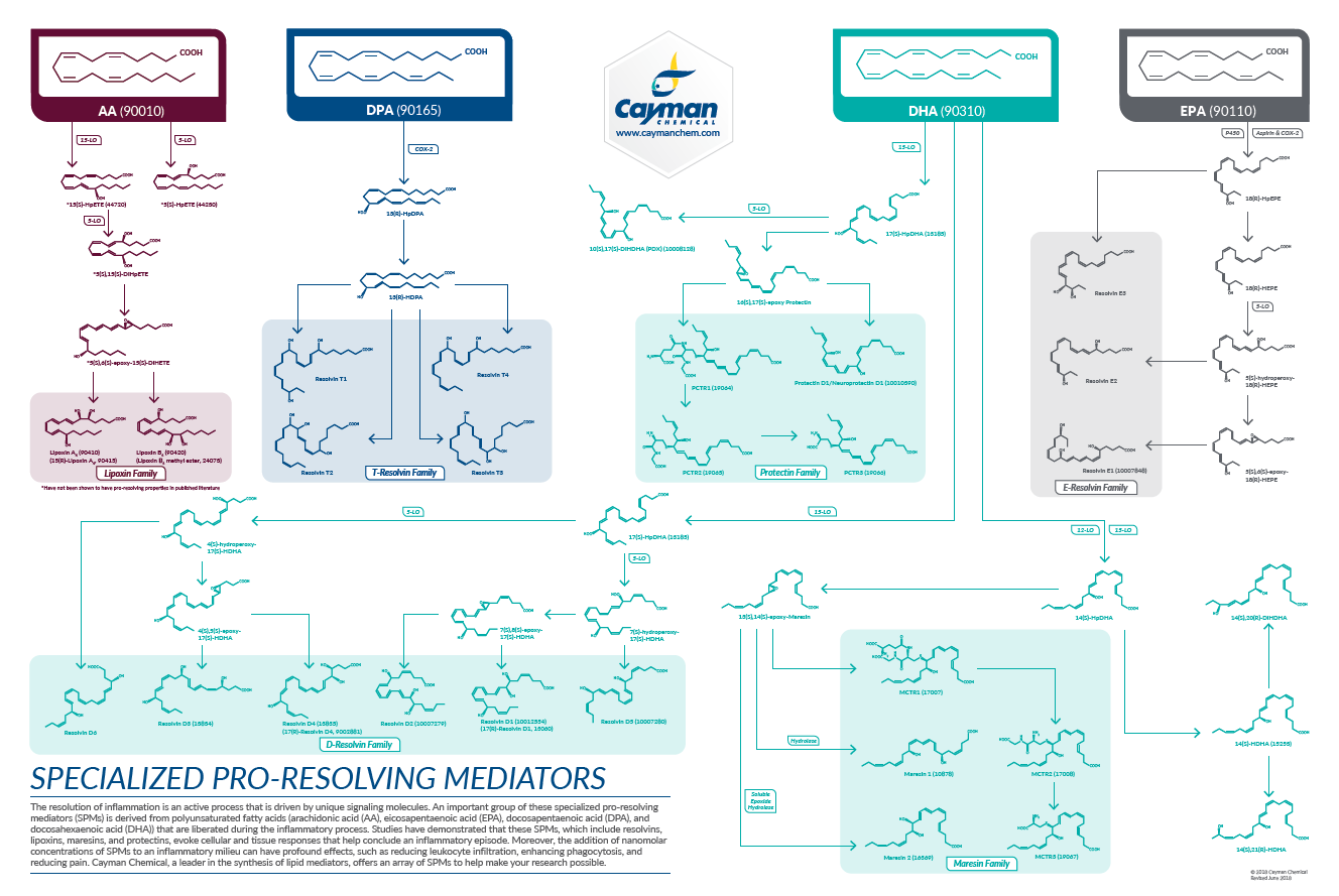 Specialized Pro-Resolving Mediators poster thumbnail.png