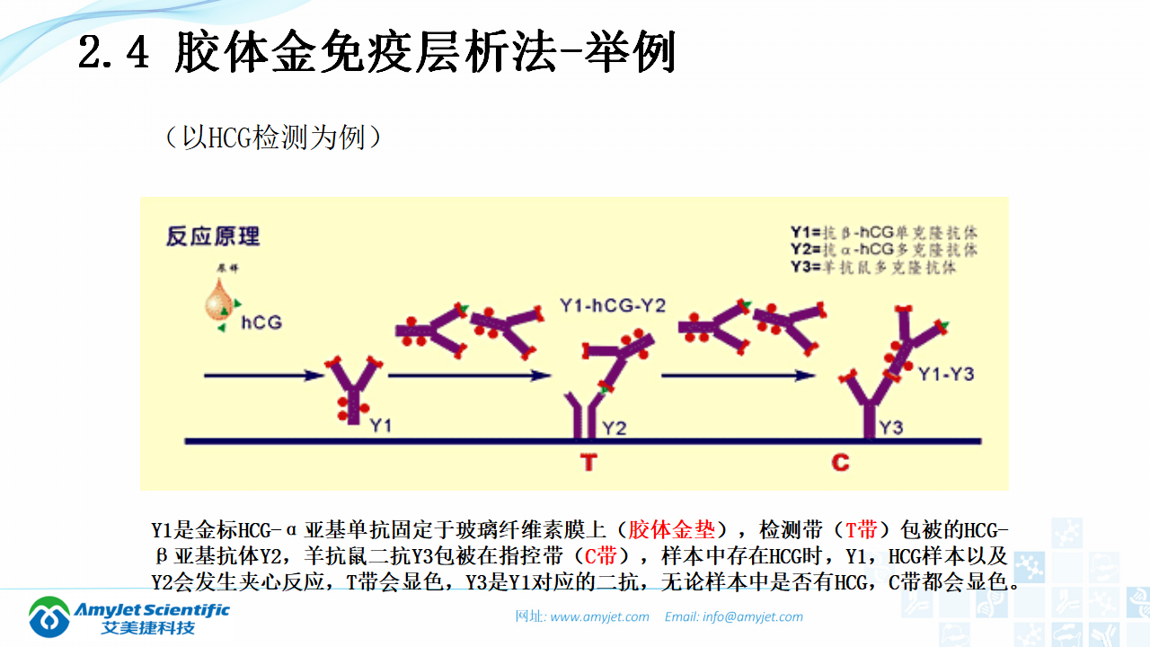 202003-体外诊断（IVD）试剂及市场浅析_26.png