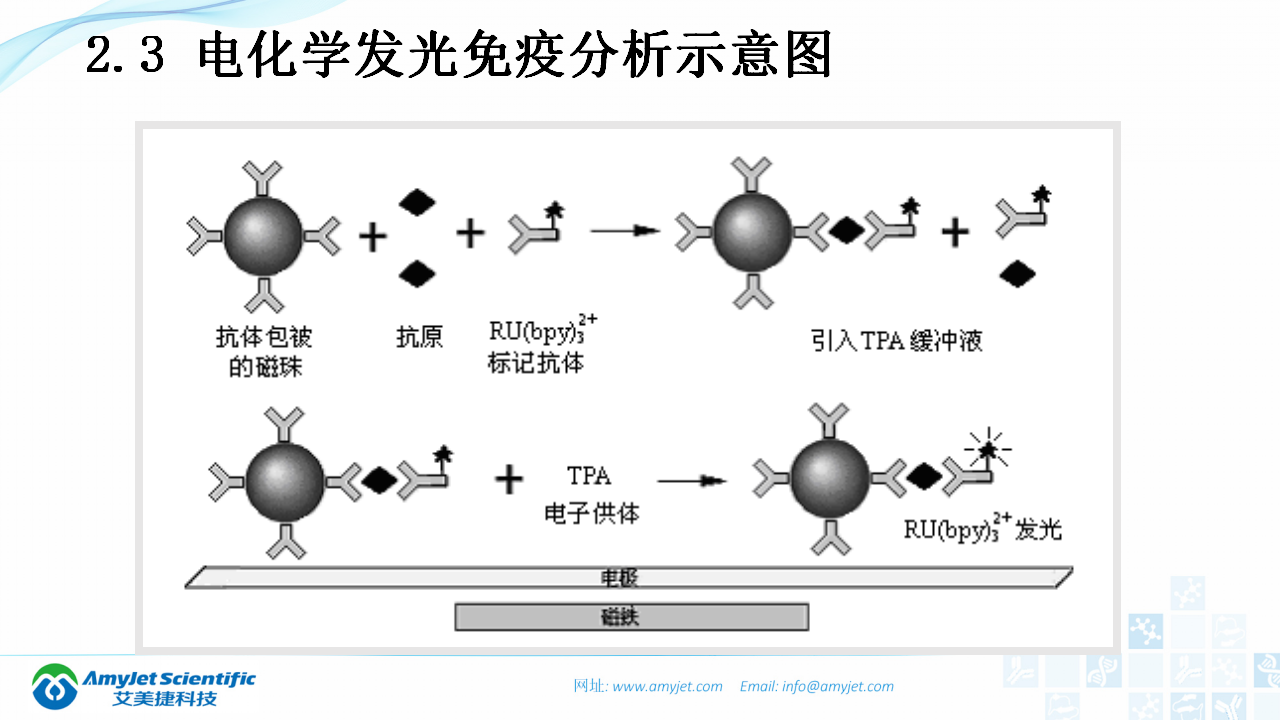 202003-体外诊断（IVD）试剂及市场浅析_21.png