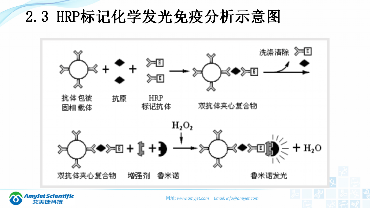 202003-体外诊断（IVD）试剂及市场浅析_20.png