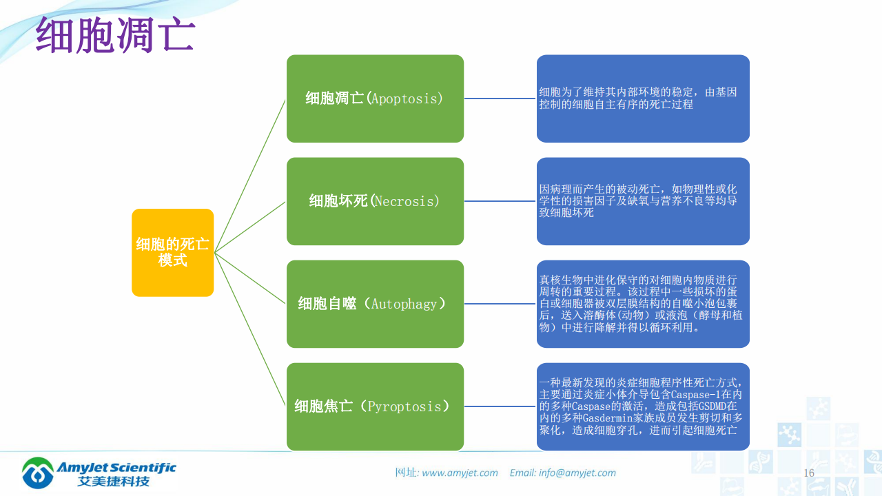 202003-细胞状态的检测_15.png