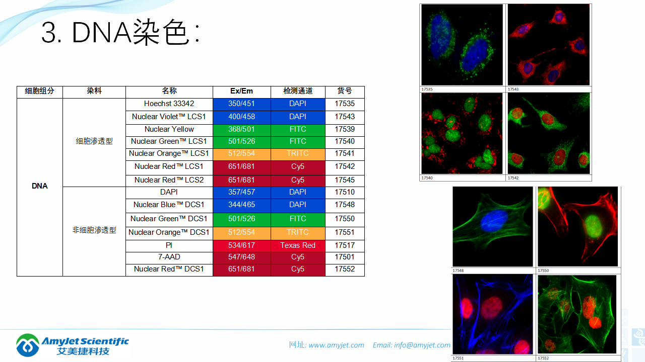 202004-荧光背景知识汇总及荧光染料的选择_34.png