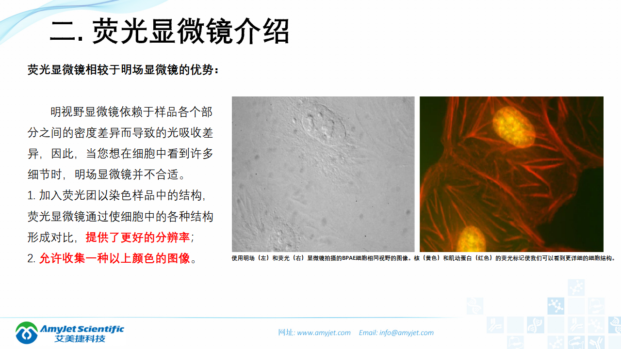 202004-荧光背景知识汇总及荧光染料的选择_14.png