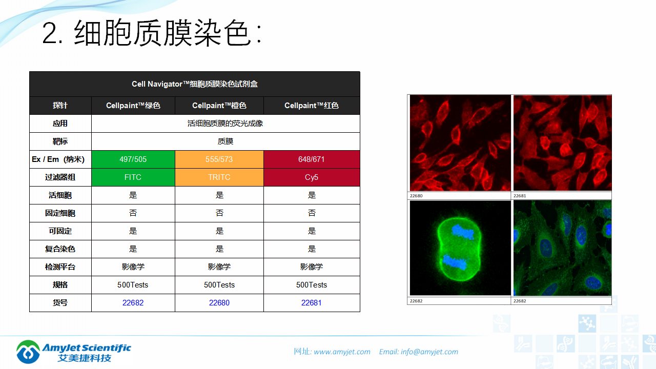 202004-荧光背景知识汇总及荧光染料的选择_33.png