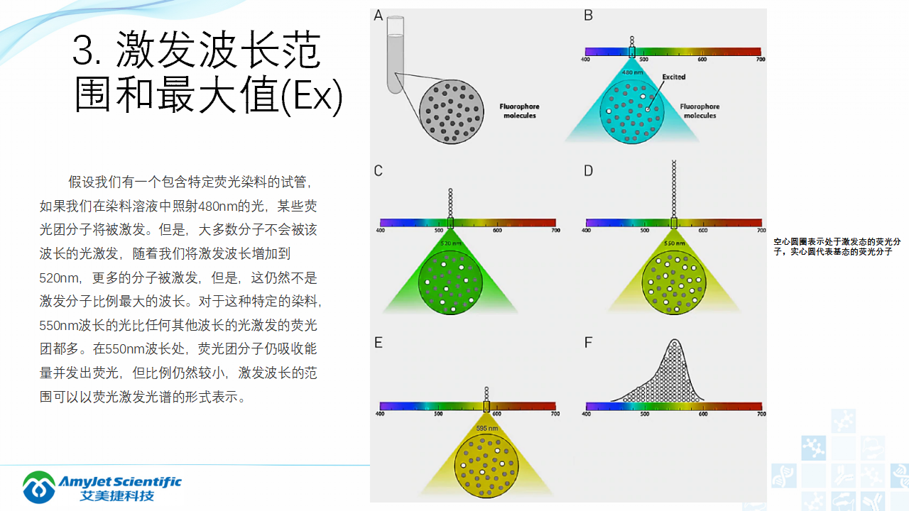 202004-荧光背景知识汇总及荧光染料的选择_07.png