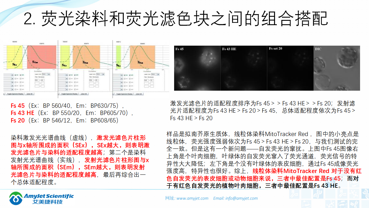 202004-荧光背景知识汇总及荧光染料的选择_28.png