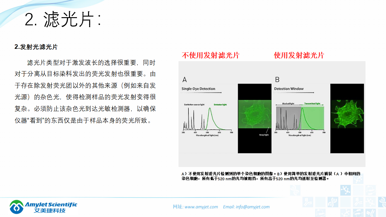 202004-荧光背景知识汇总及荧光染料的选择_17.png