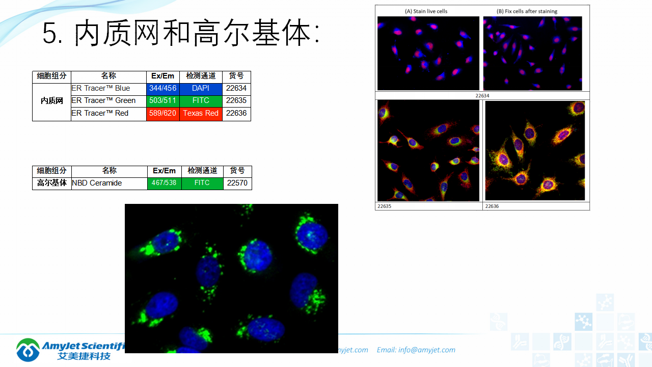 202004-荧光背景知识汇总及荧光染料的选择_36.png