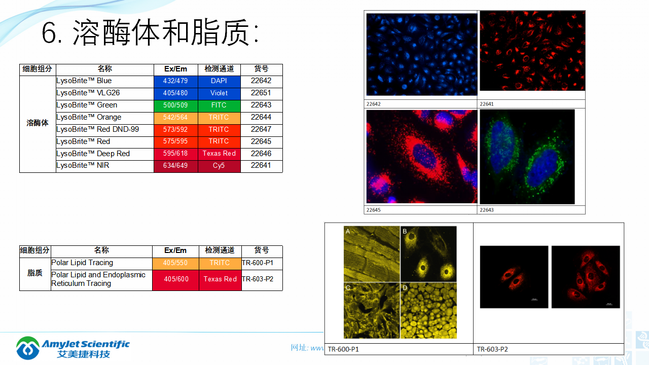 202004-荧光背景知识汇总及荧光染料的选择_37.png