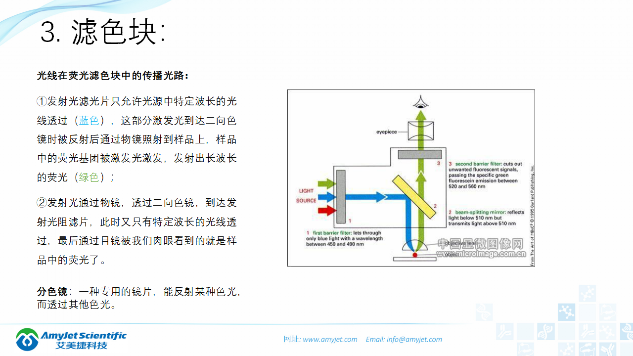 202004-荧光背景知识汇总及荧光染料的选择_21.png