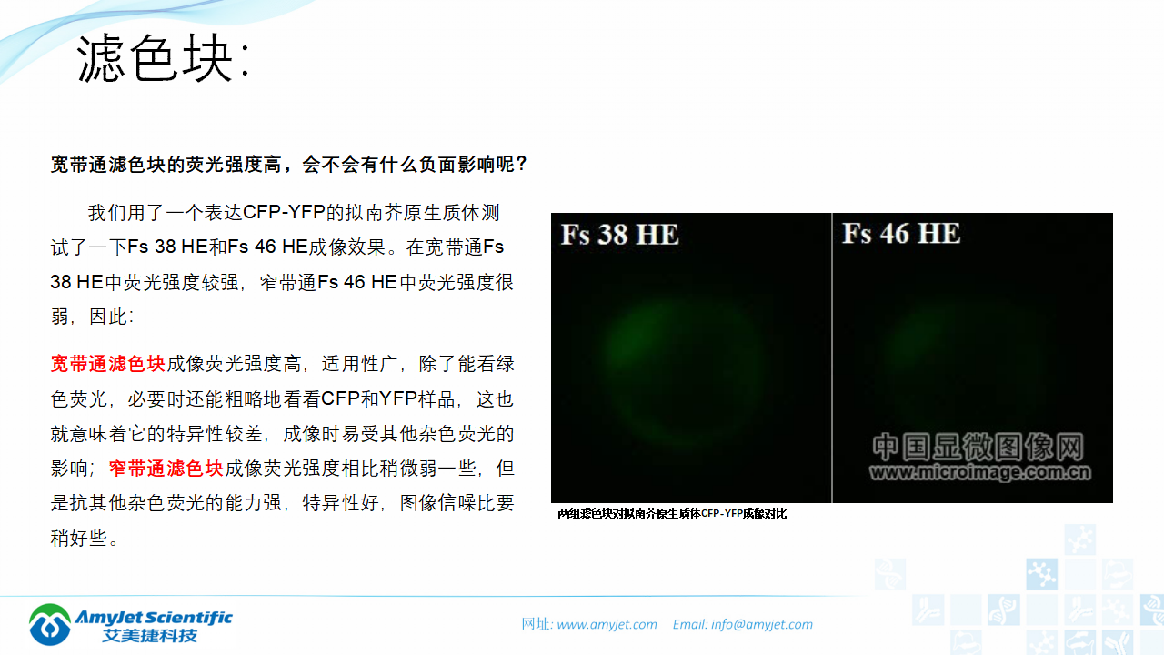 202004-荧光背景知识汇总及荧光染料的选择_24.png