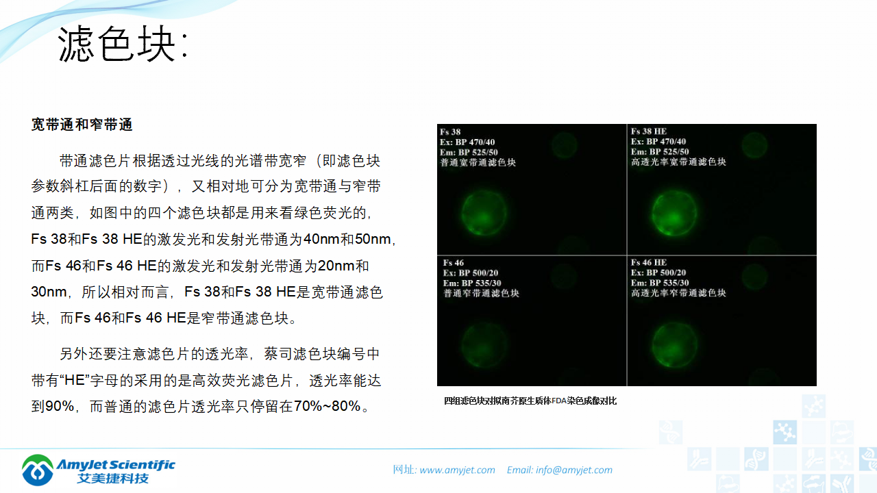 202004-荧光背景知识汇总及荧光染料的选择_23.png