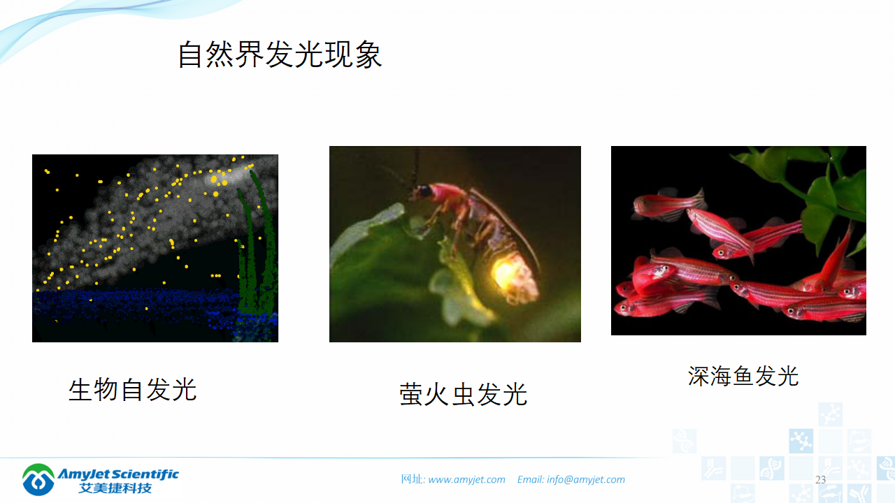 202003-体外诊断之化学发光免疫_23.png