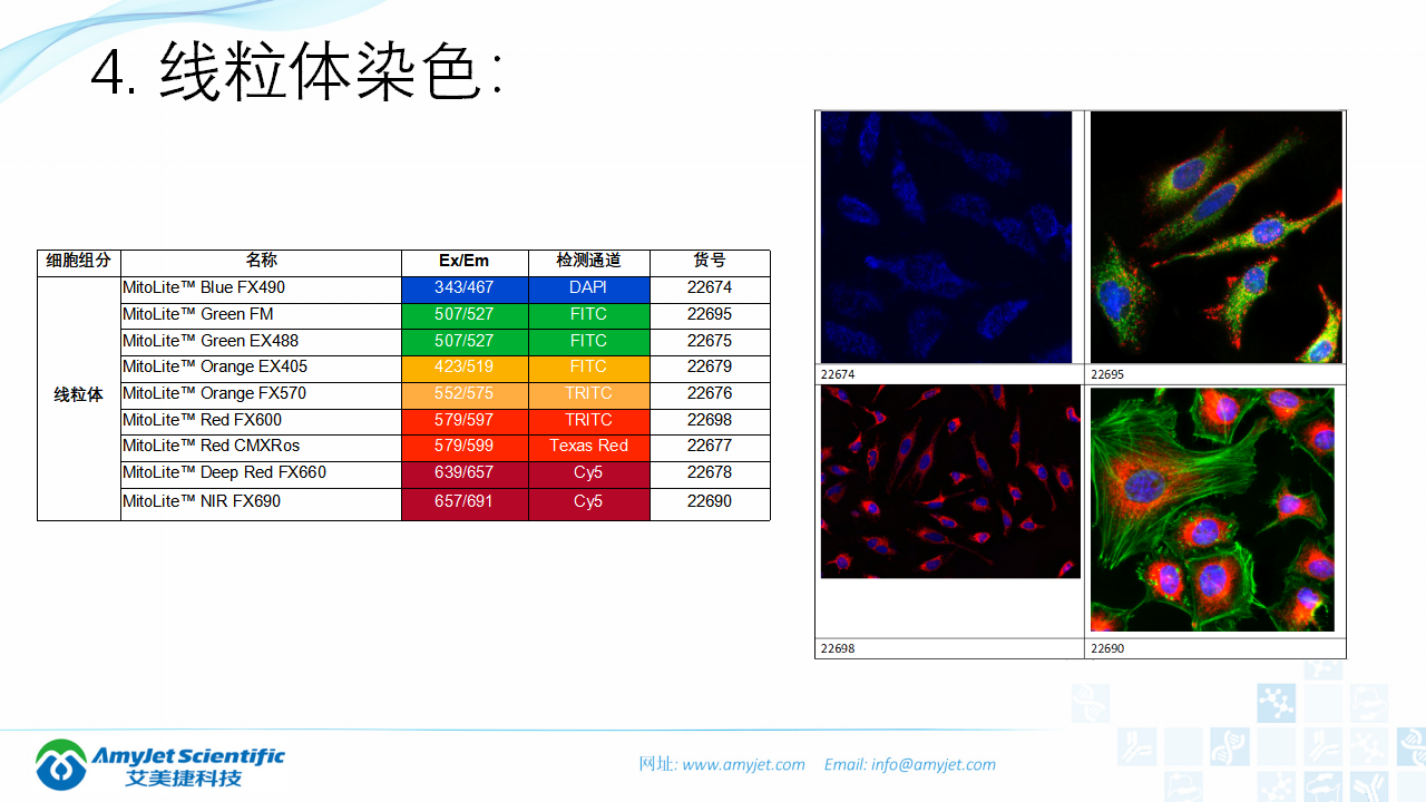 202004-荧光背景知识汇总及荧光染料的选择_35.png