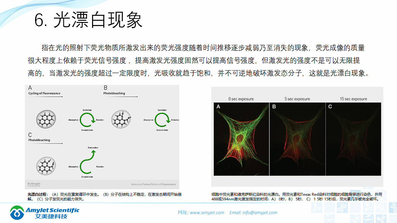 202004-荧光背景知识汇总及荧光染料的选择_12.png