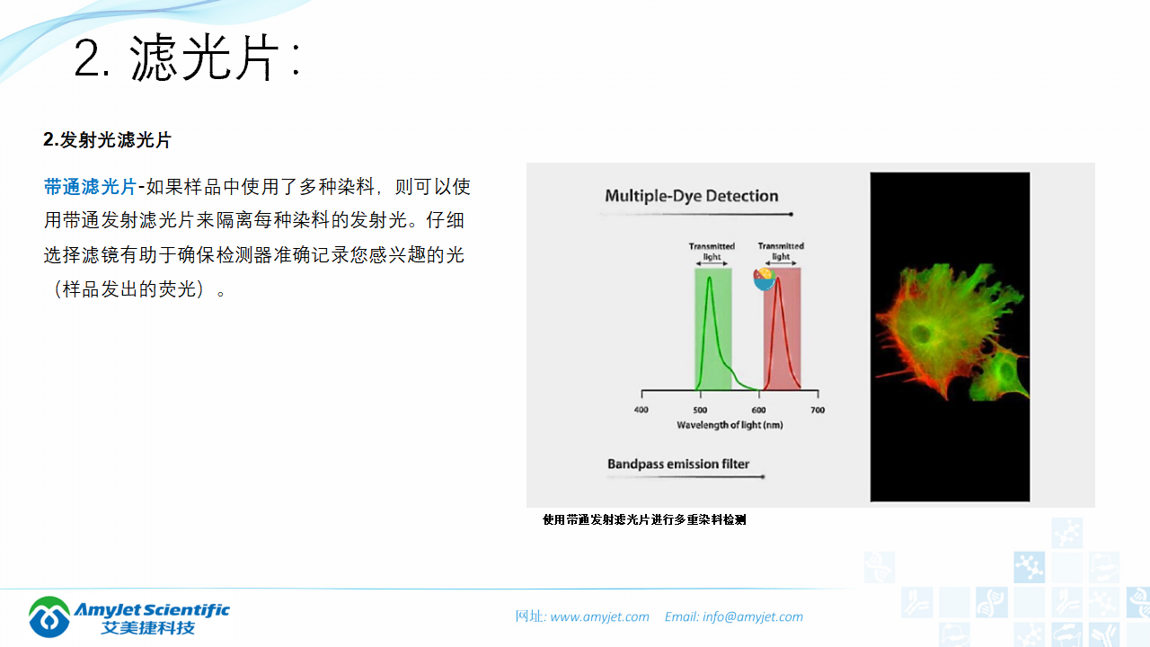 202004-荧光背景知识汇总及荧光染料的选择_18.png