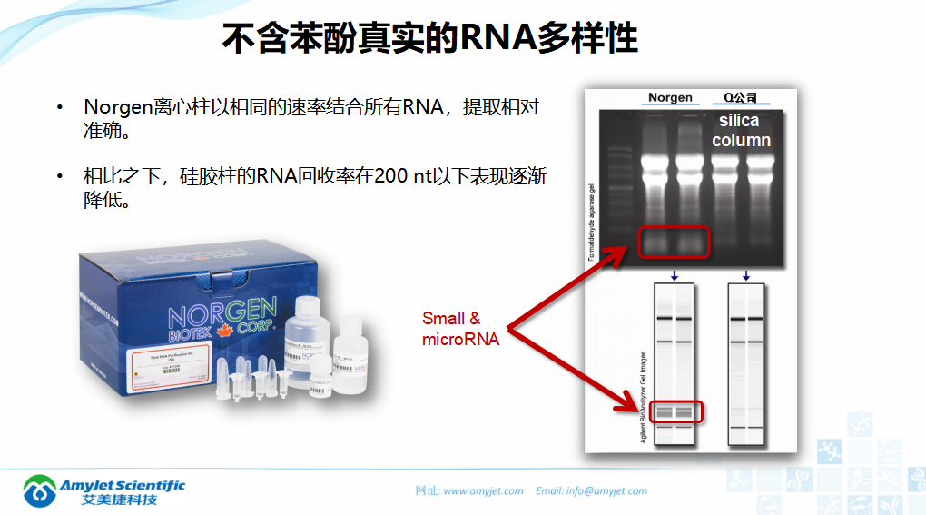 202005-核酸保存提取鉴定专家_18.png