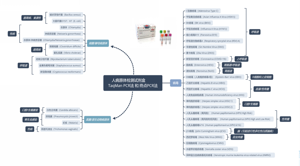 202005-核酸保存提取鉴定专家_41.png