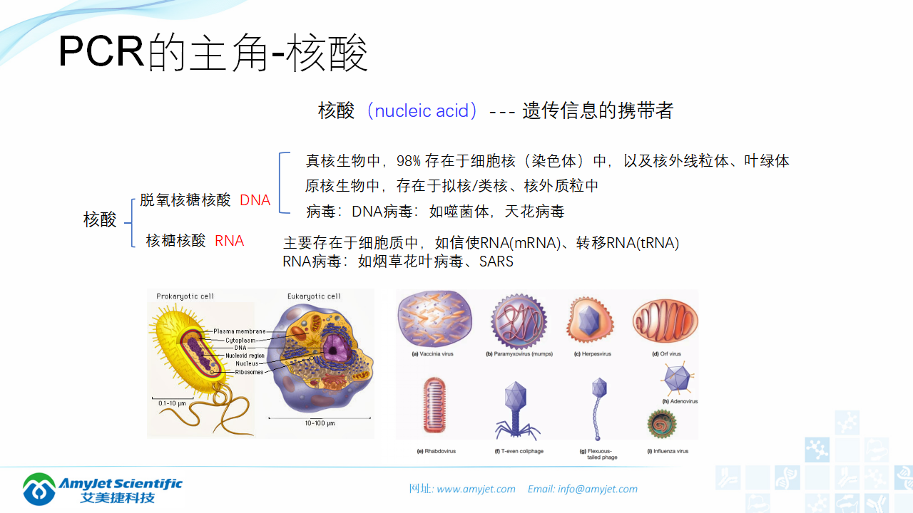 202006-PCR背景与解决方案_02.png