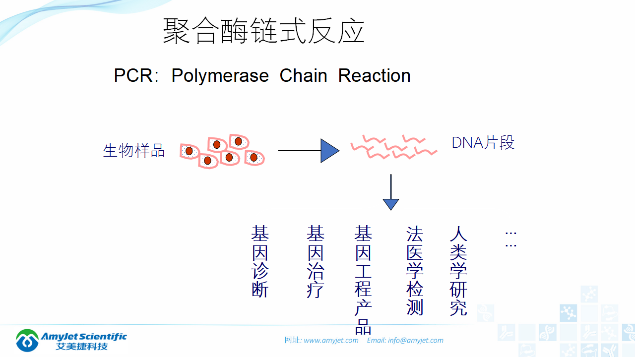202006-PCR背景与解决方案_05.png