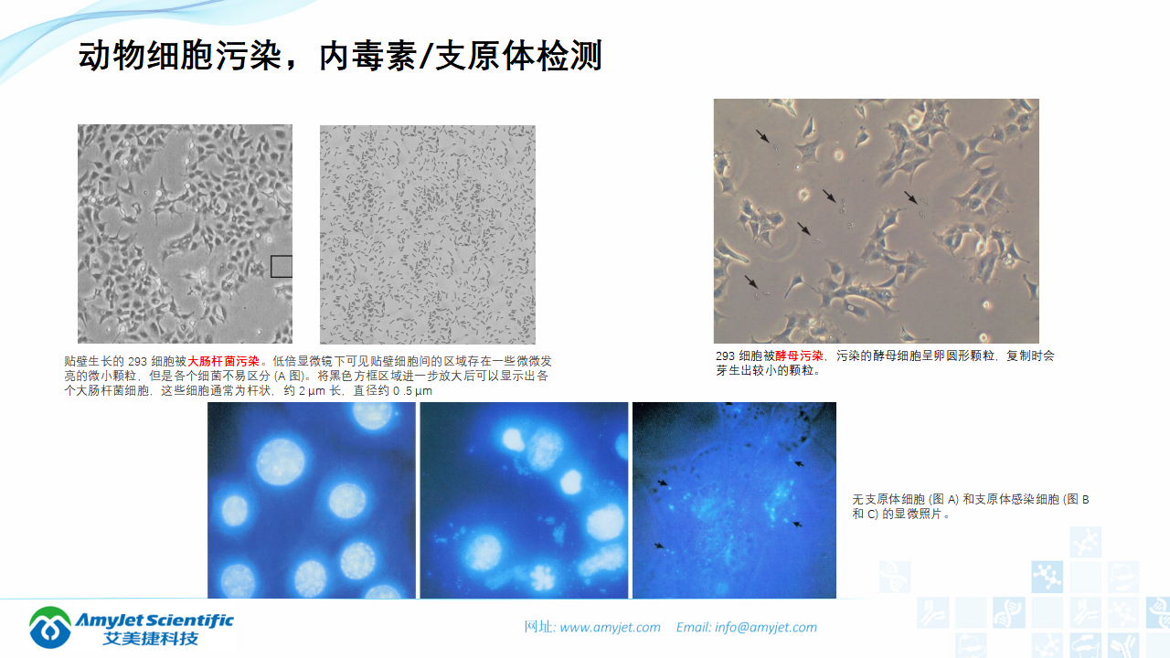 202006-细胞培养专题介绍_31.png