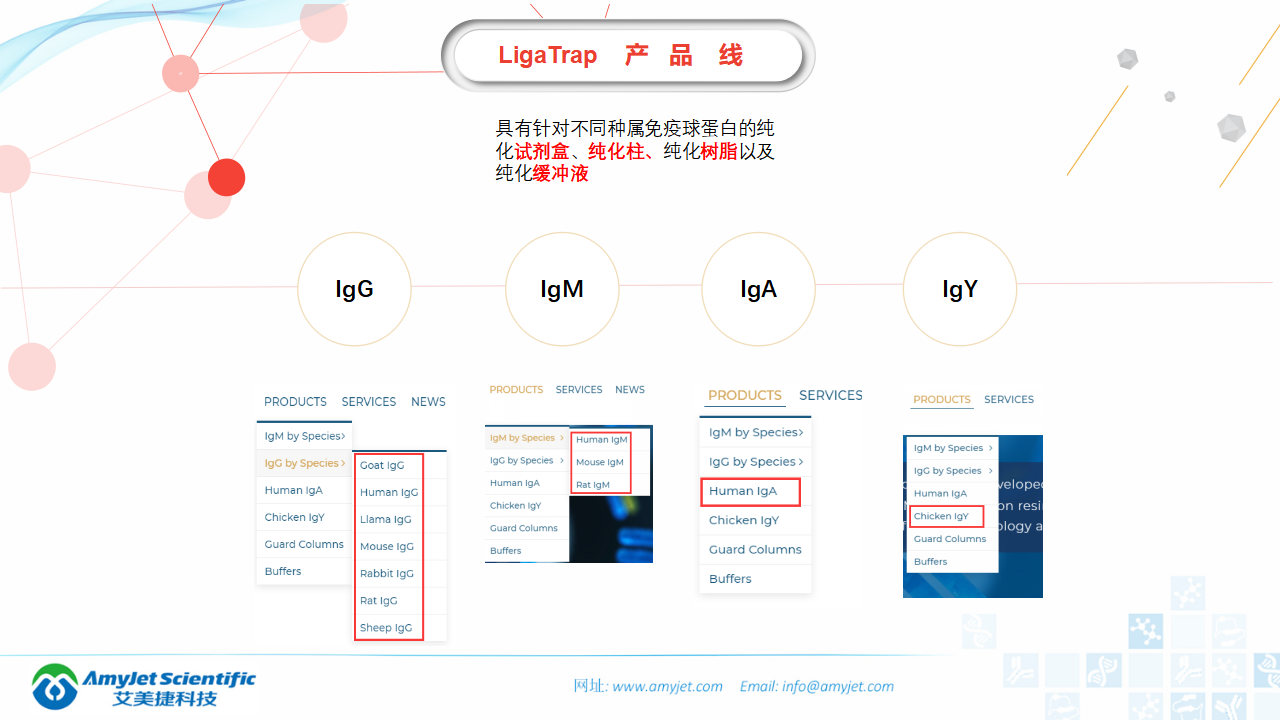 202006-IgM IgG抗体纯化专家-LigaTrap品牌_05.png