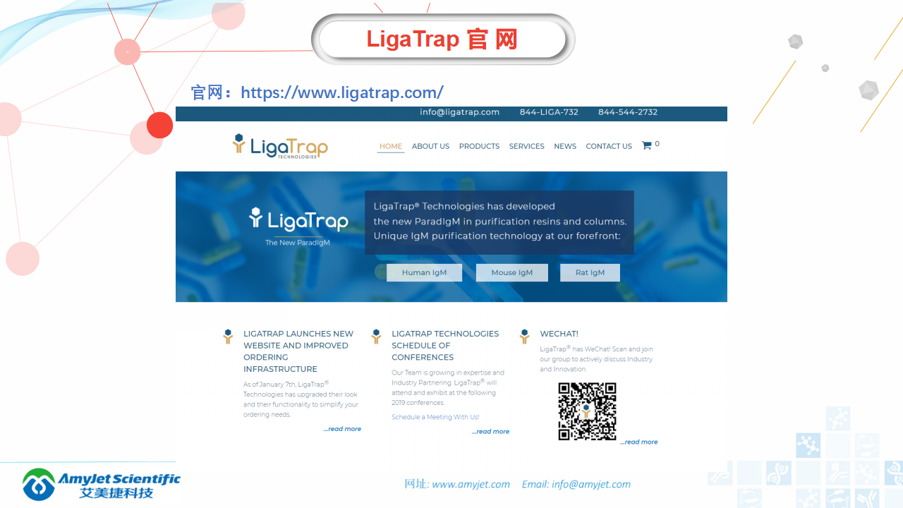 202006-IgM IgG抗体纯化专家-LigaTrap品牌_04.png