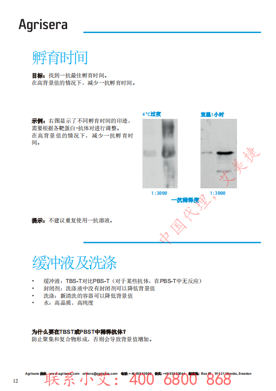 植物WB指南-中文版-艾美捷_11.png