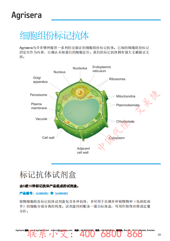 植物WB指南-中文版-艾美捷_18.png