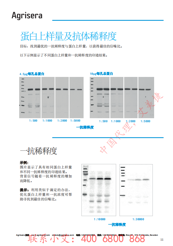 植物WB指南-中文版-艾美捷_10.png