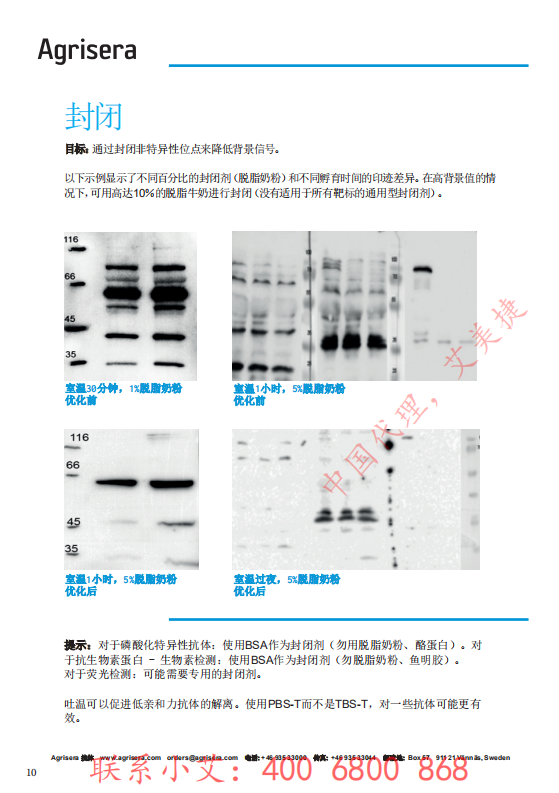 植物WB指南-中文版-艾美捷_09.png