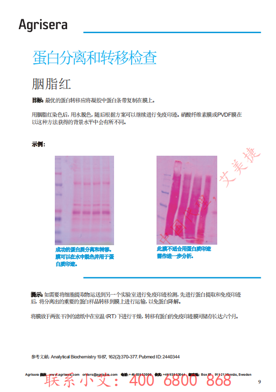 植物WB指南-中文版-艾美捷_08.png