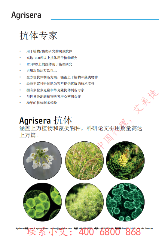 植物WB指南-中文版-艾美捷_01.png