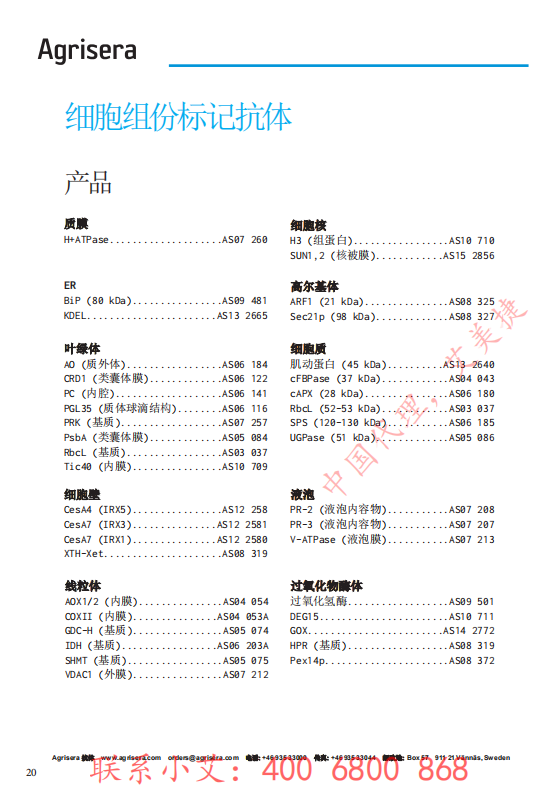 植物WB指南-中文版-艾美捷_19.png