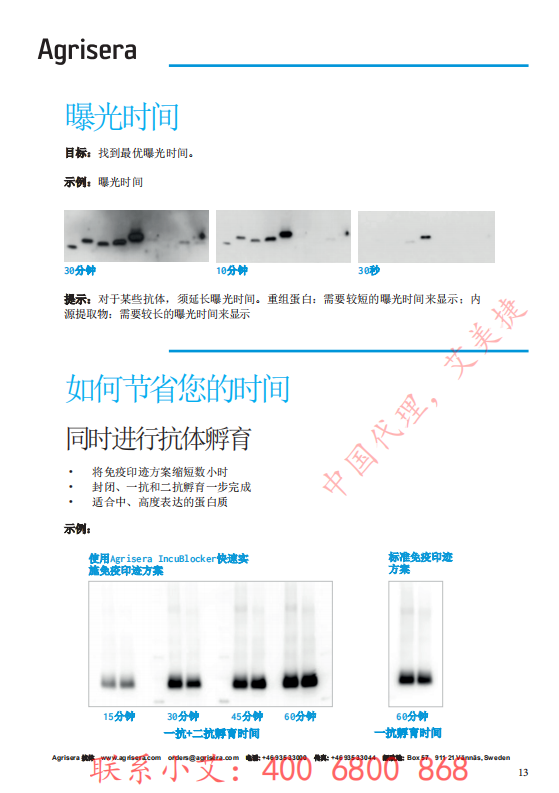 植物WB指南-中文版-艾美捷_12.png