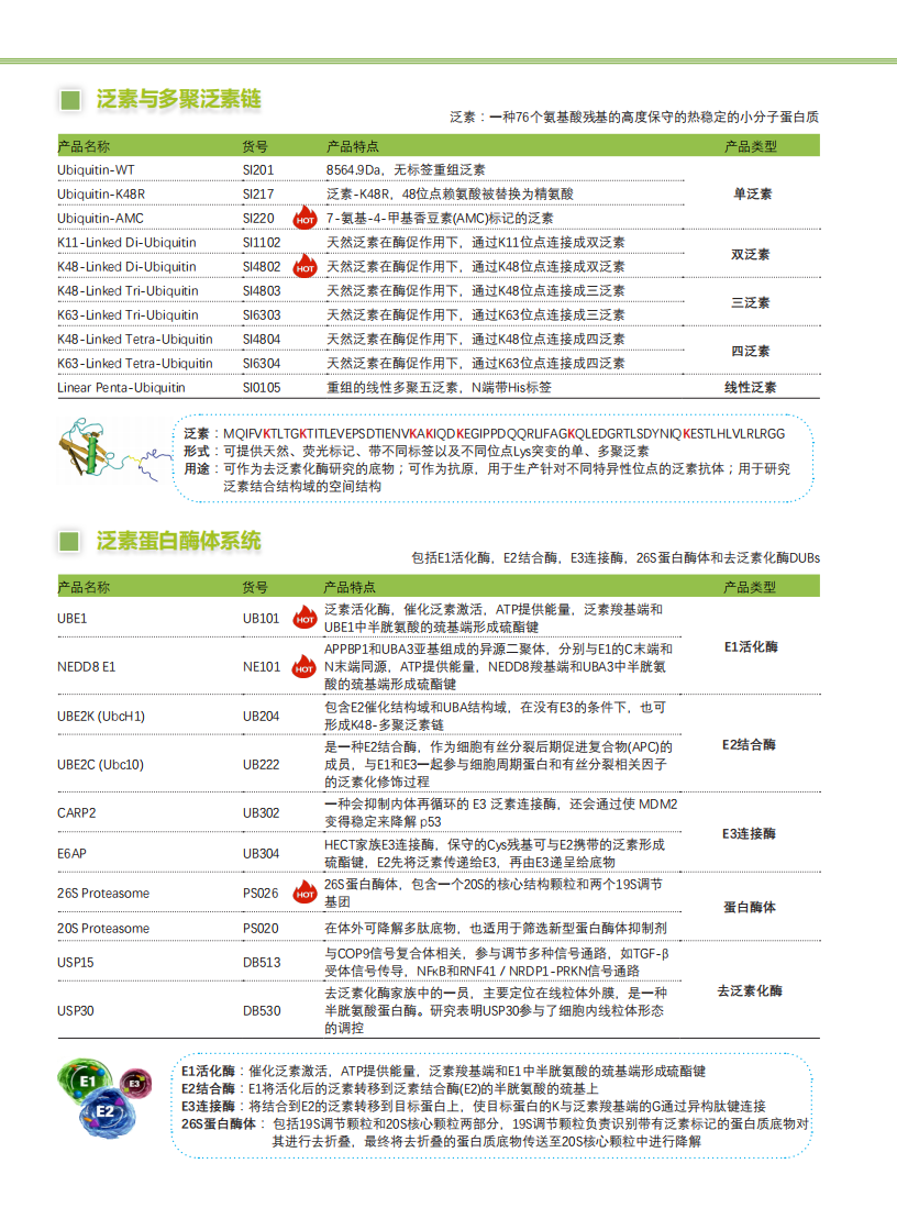 全套泛素研究解决方案-Lifesensors-折页_01.png
