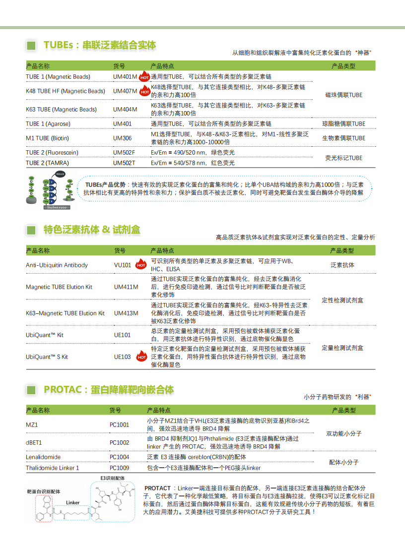 全套泛素研究解决方案-Lifesensors-折页_02.png