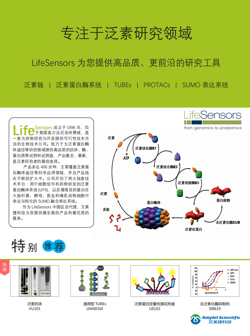 全套泛素研究解决方案-Lifesensors-折页_00.png
