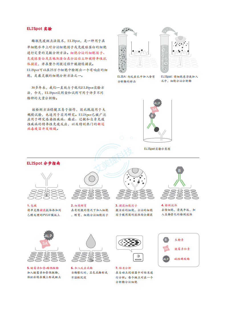 Mabtech-ELISpot-中文版折页_01.png